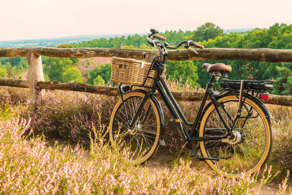 De voor- en nadelen van een elektrische fiets